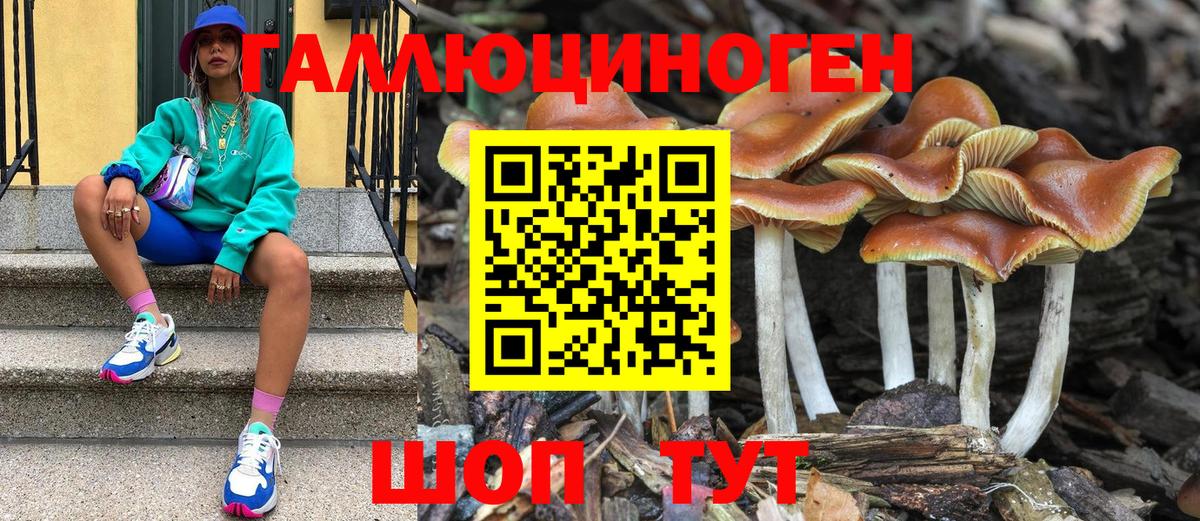 Галлюциногенные грибы ЛСД Свободный